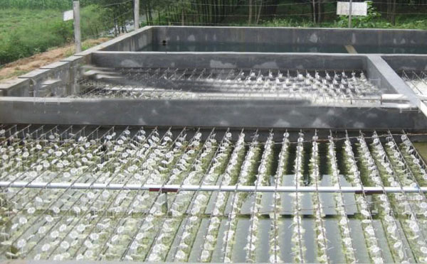 屠宰廢水處理成套設(shè)備產(chǎn)品優(yōu)勢 屠宰廢水處理成套設(shè)備產(chǎn)品優(yōu)勢